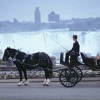 Niagara Falls Attractions